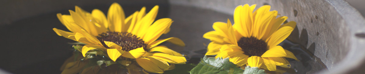 Einfach mal gelassen bleiben. -